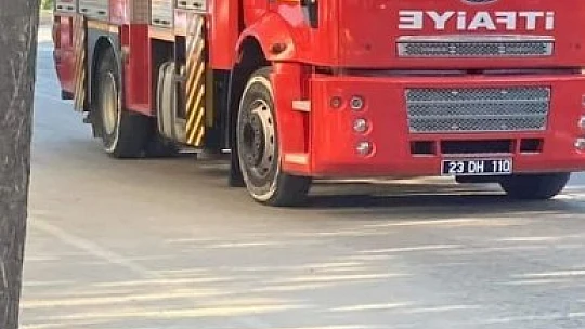 Ağaçtan düşen yavru kargayı yuvasına bıraktılar