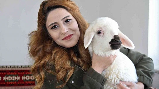 Annesi ölen 'Rıfkı'yı' ev ortamında biberonla besliyorlar