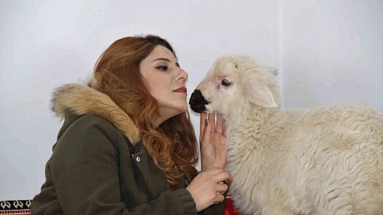 Annesi ölen 'Rıfkı'yı' ev ortamında biberonla besliyorlar