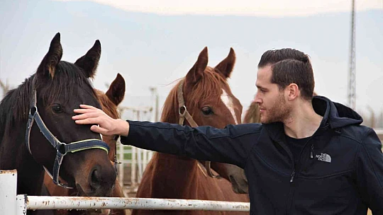 At yarışı kariyerinde 'Bold Pilot' bile ona yanaşamadı