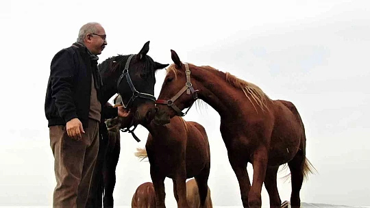 At yarışı kariyerinde 'Bold Pilot' bile ona yanaşamadı