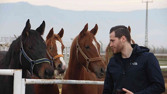 At yarışı kariyerinde 'Bold Pilot' bile ona yanaşamadı