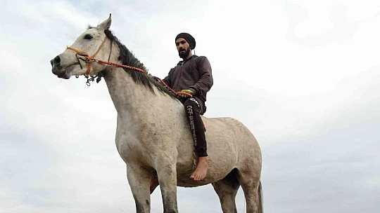 At yarışı kariyerinde 'Bold Pilot' bile ona yanaşamadı