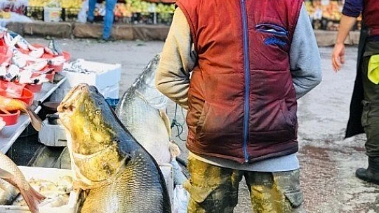 Biri 85, diğeri 55 Kilo