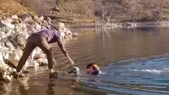 Baraj gölüne düşen güvercin, suya giren muhtar tarafından kurtarıldı