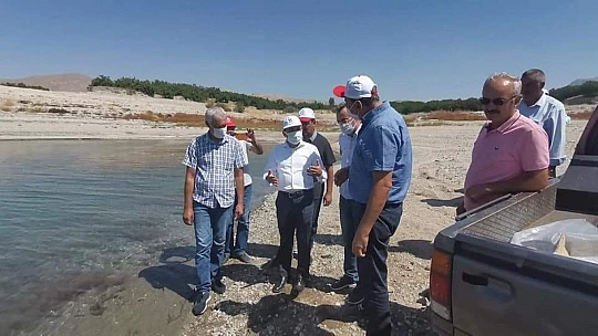 Baskil'de 300 bin sazan baraj gölüne bırakıldı