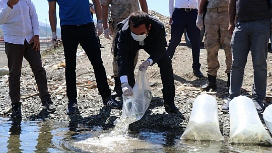 Beyhan Barajı'na 50 bin sazan yavrusu bırakıldı