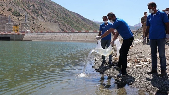 Beyhan Barajı'na 50 bin sazan yavrusu bırakıldı