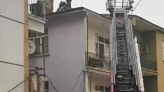 Binanın çatısında mahsur kalan köpeği, itfaiye kurtardı