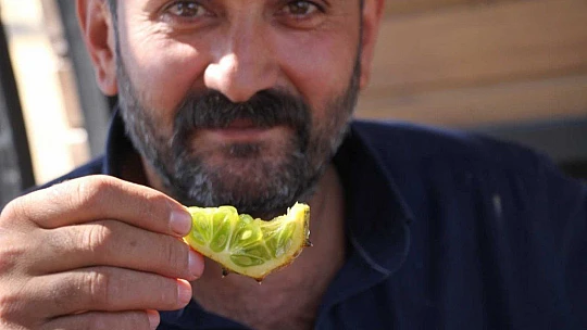 Bölgede ilki başardı, tropik Afrika meyvesi olan Kivano'yu yetiştirdi