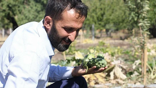 Bölgede ilki başardı, tropik Afrika meyvesi olan Kivano'yu yetiştirdi
