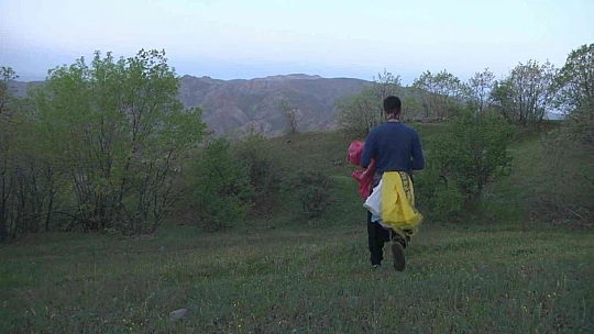 Bu bitkiyi toplamak için gökyüzü aydınlanmadan yola çıkıyorlar
