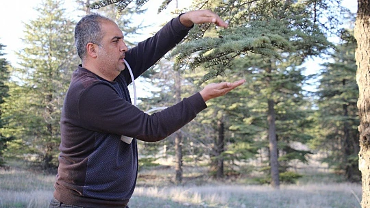 Bu böcek dünyada ikinci, Türkiye'de ilk defa Elazığ'da görüldü
