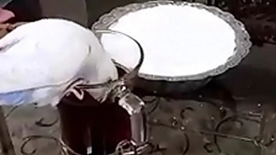 Bu da 'Çaykolik' muhabbet kuşu