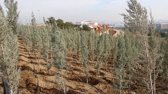 Bu merkez Avrupa'nın en büyüğü, enerjisini kendi üretiyor, hizmetleri ücretsiz