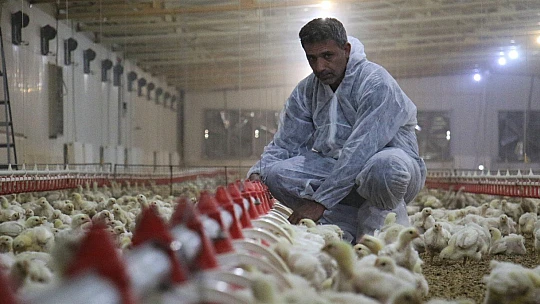 Devlet desteği ile çiftlik kurdu, yılda 300 bin TL kazanmaya başladı