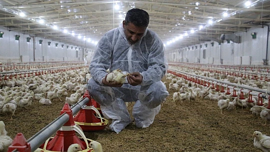 Devlet desteği ile çiftlik kurdu, yılda 300 bin TL kazanmaya başladı