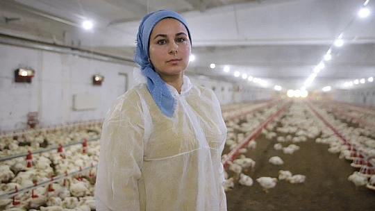 Devletten aldığı destekle çiftlik sahibi oldu, şimdi ailece çalışıyorlar