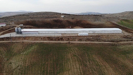 Devletten aldığı destekle çiftlik sahibi oldu, şimdi ailece çalışıyorlar