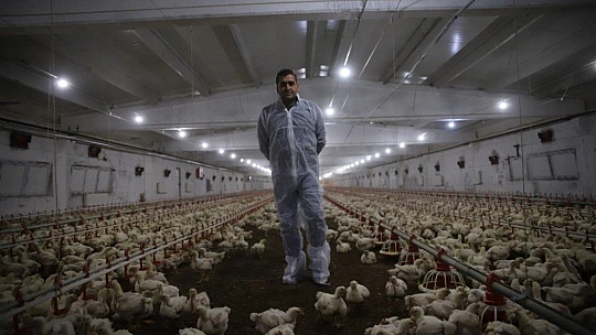 Devletten aldığı destekle çiftlik sahibi oldu, şimdi ailece çalışıyorlar