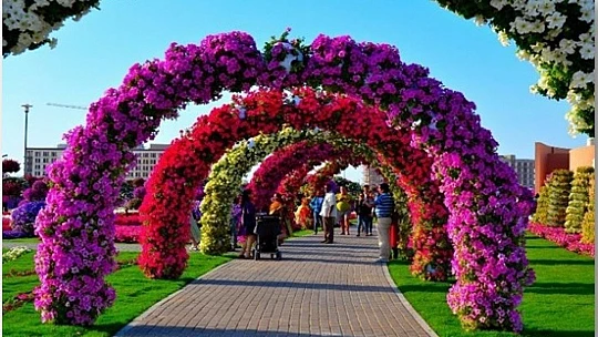 Başkan Şerifoğulları'nın bir yıllık hizmetleri