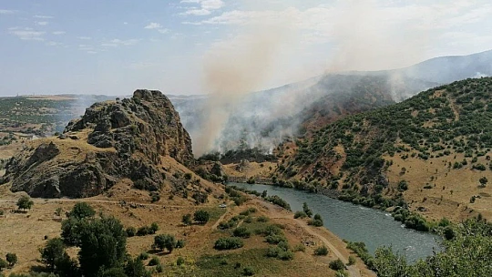 Doğu Anadolu Bölgesi'nde 246 hektar alan yandı