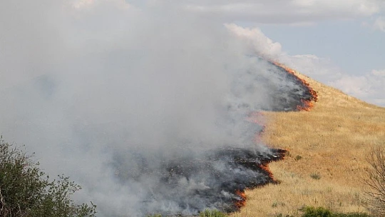 Doğu Anadolu Bölgesi'nde 246 hektar alan yandı