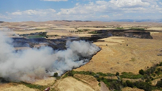 Doğu Anadolu Bölgesi'nde 246 hektar alan yandı