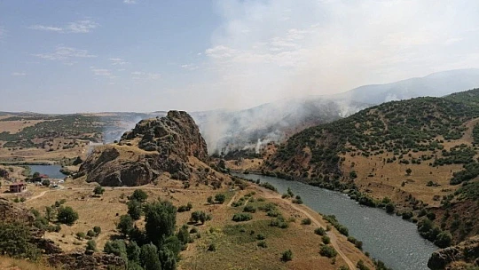 Doğu Anadolu Bölgesi'nde 246 hektar alan yandı