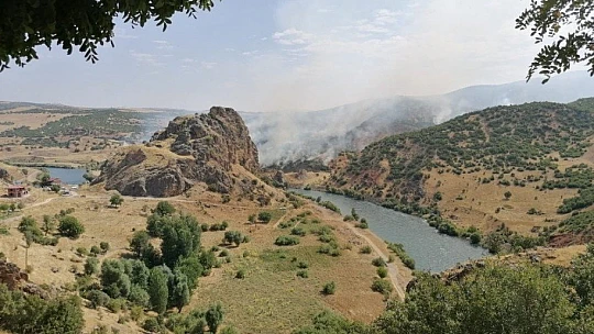 Doğu Anadolu Bölgesi'nde 246 hektar alan yandı