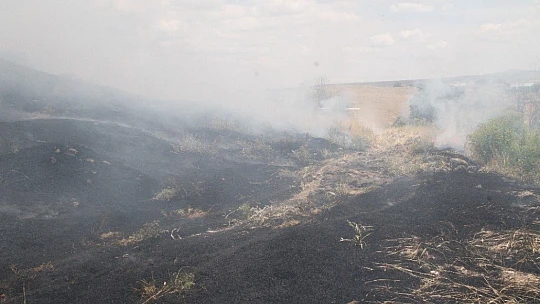 Doğu Anadolu Bölgesi'nde 246 hektar alan yandı