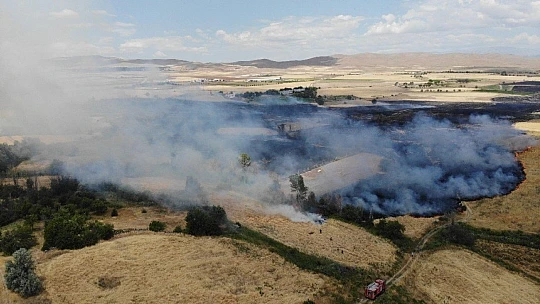 Doğu Anadolu Bölgesi'nde 246 hektar alan yandı