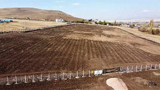 Doğu Anadolu Bölgesi'nin en büyük lavanta bahçesi Elazığ'da kuruldu