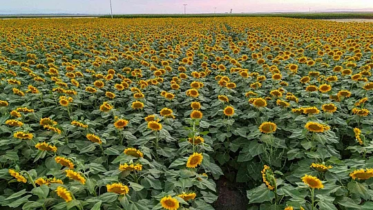 Droncu sınıf öğretmeninin  çektiği eşsiz görüntüler hayran bıraktı