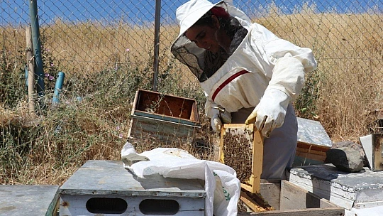 Ürettiği balı hayır olarak dağıtıyor