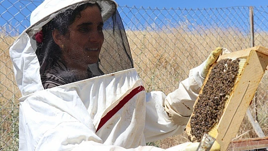 Ürettiği balı hayır olarak dağıtıyor