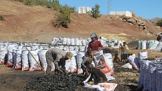 Ekmeklerini taştan değil, kömürden çıkarıyorlar