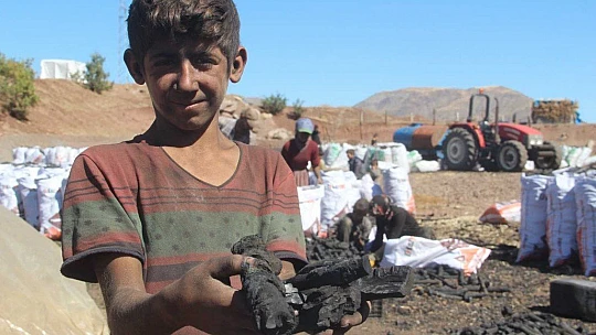 Ekmeklerini taştan değil, kömürden çıkarıyorlar