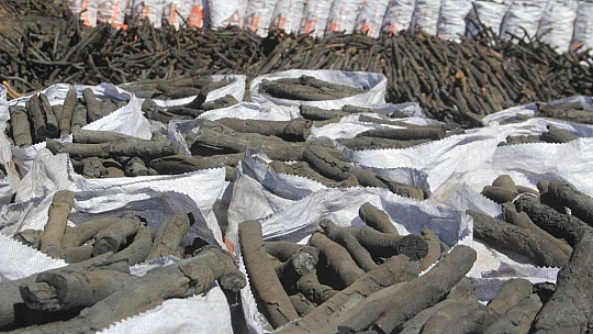 Ekmeklerini taştan değil, kömürden çıkarıyorlar