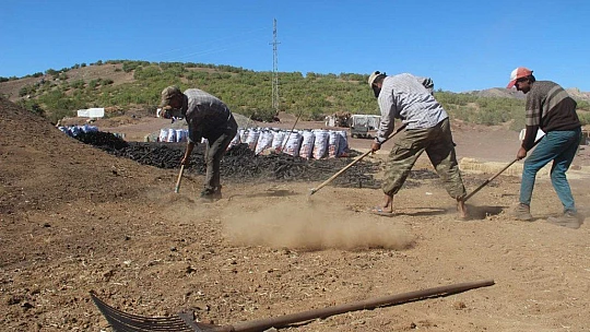 Ekmeklerini taştan değil, kömürden çıkarıyorlar