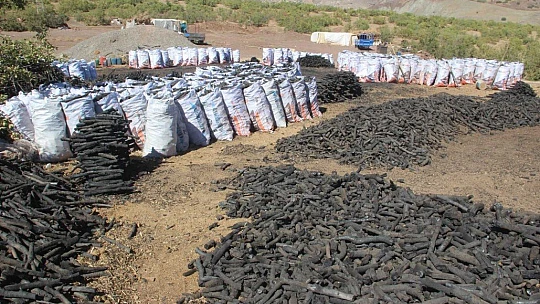 Ekmeklerini taştan değil, kömürden çıkarıyorlar