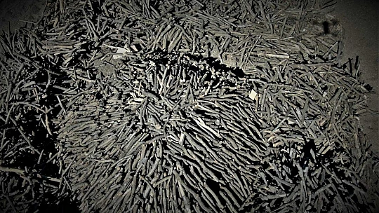 Ekmeklerini taştan değil, kömürden çıkarıyorlar