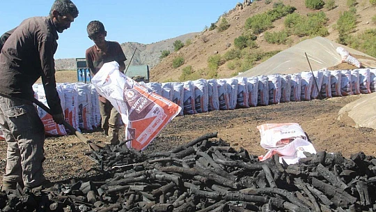 Ekmeklerini taştan değil, kömürden çıkarıyorlar