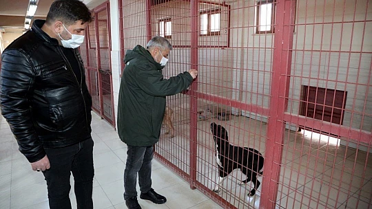 Elazığ Belediyesi Hayvan Bakım Evi ziyarete açılıyor
