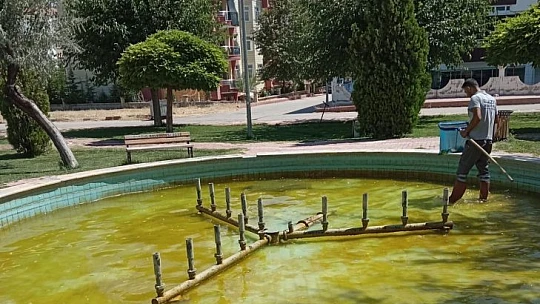 Elazığ Belediyesinden süs havuzları temizliği