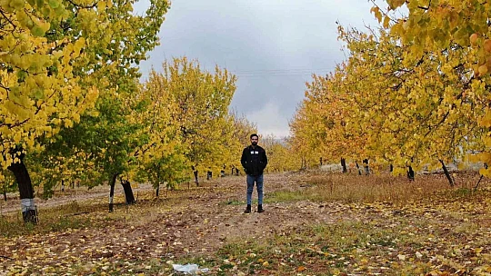 Elazığ'da 'altın yaprakların' sonbahar güzelliği