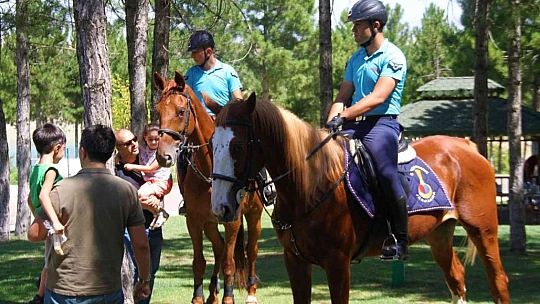 Elazığ'da 'Atlı Jandarma Timi' göreve başladı