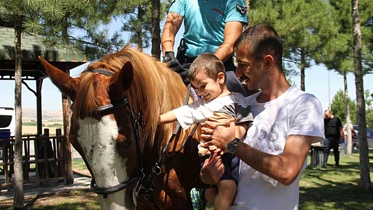 Elazığ'da 'Atlı Jandarma Timi' göreve başladı