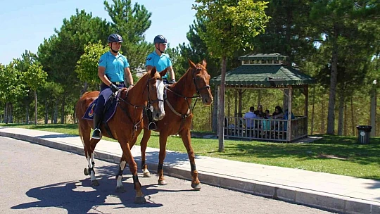 Elazığ'da 'Atlı Jandarma Timi' göreve başladı