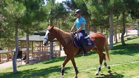 Elazığ'da 'Atlı Jandarma Timi' göreve başladı